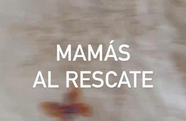 Botiquín natural para nuestros hijos